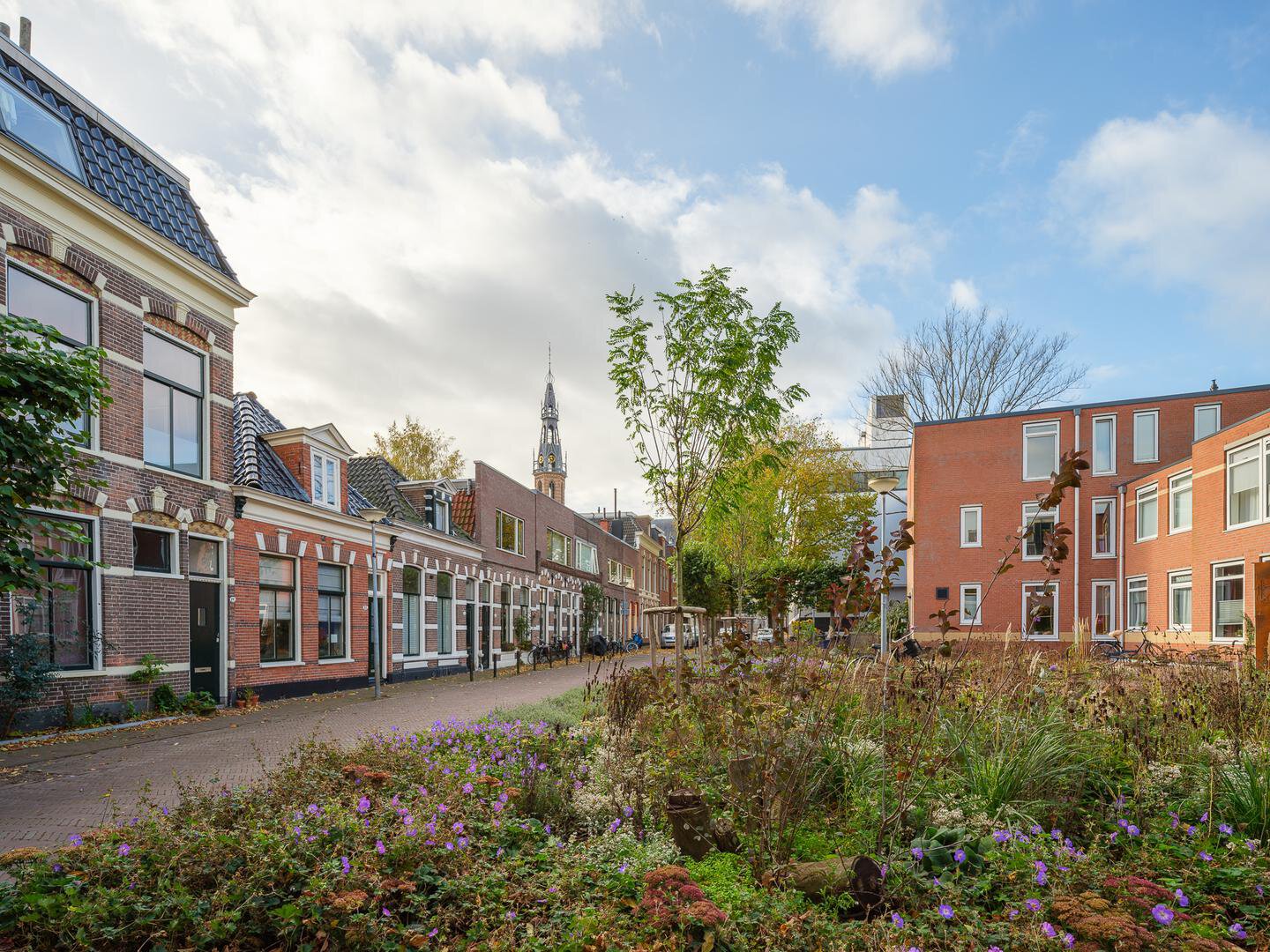 Radebinnensingel 17 GRONINGEN Radebinnensingel 17 GRONINGEN